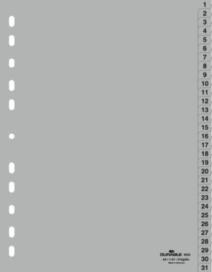 DURABLE DIVIDER INDEXES WITH PRINTED 1-31 TABS 6523